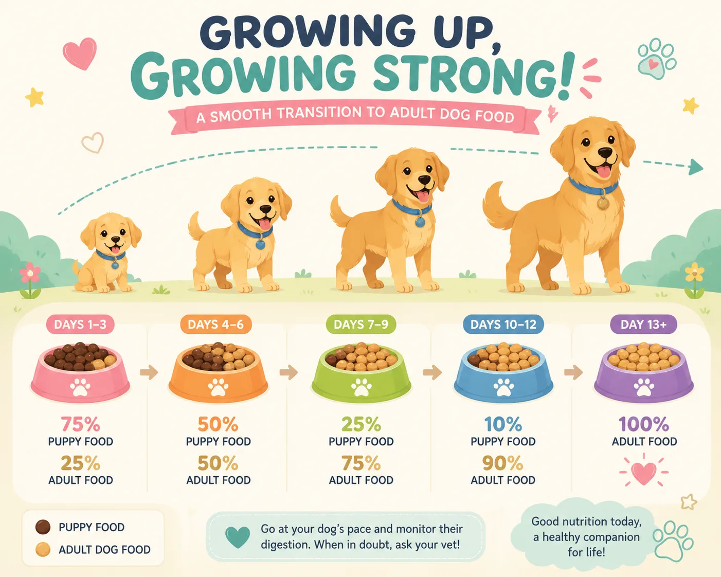 Whimsical illustration of transitioning a dog from puppy food to adult food